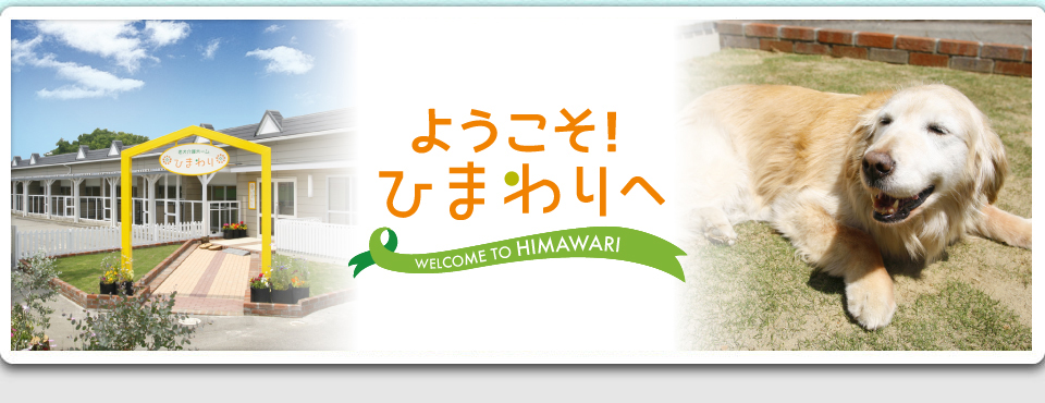 「ドッグラン」と「つくば獣医診療センター」と老犬ホームの犬達